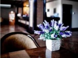 Hotel Mimosa 3*